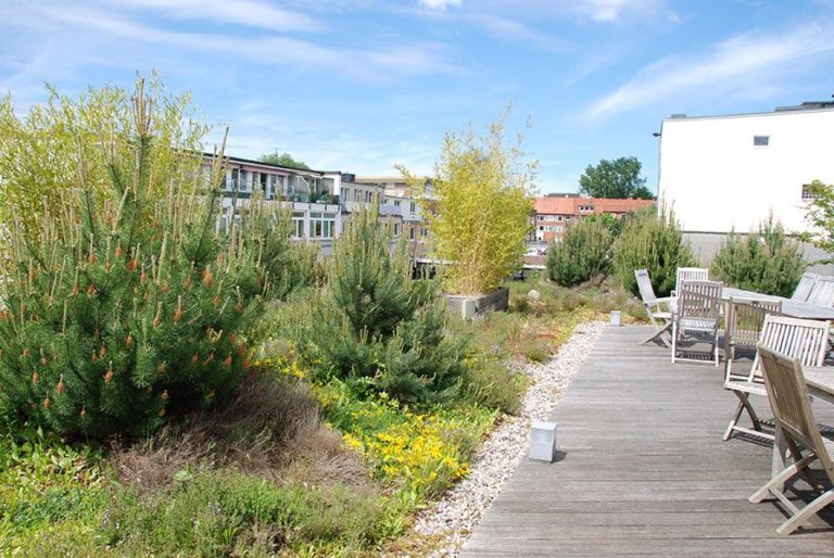 Hamburger Gründachstrategie