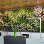 … und mit Innenraumbegrünungen. - Bild: © FBB