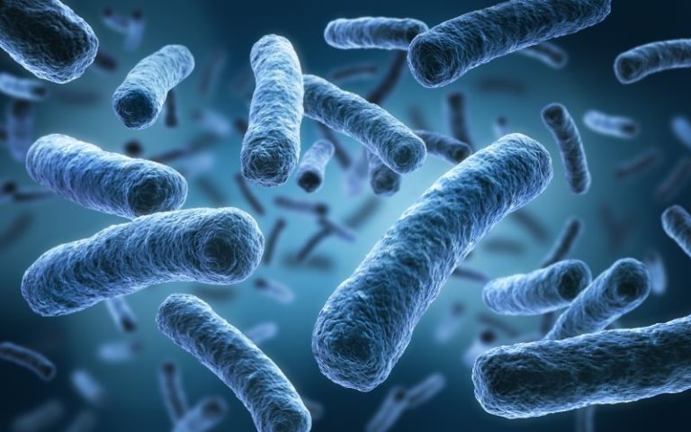 Legionellen im Trinkwasser: Gesicherte Grenzwerte Bild: © psdesign1 - Fotolia.de