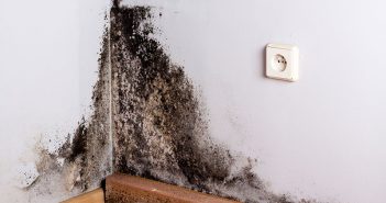 Feuchte- und Schimmelschäden: Risiken für Eigentümer, Mieter, Verwalter und Verkäufer