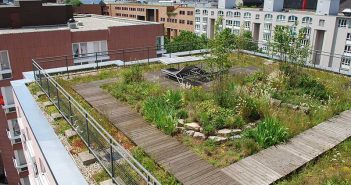 Systemlösung „Naturdach“: Biodiversität, Arten- und Naturschutz