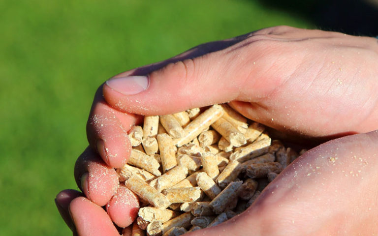 Energielabel ab April auch für Holzheizungen