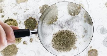 Vorsicht bei Wasserschäden – Mikrobielle Eskalation