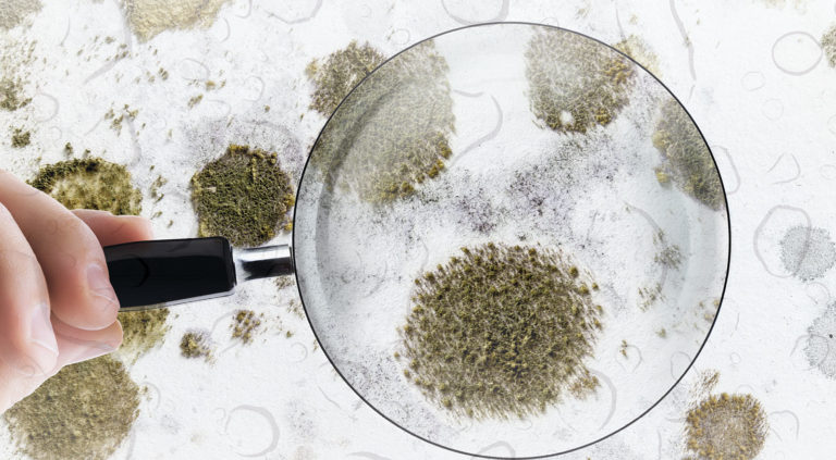 Vorsicht bei Wasserschäden – Mikrobielle Eskalation