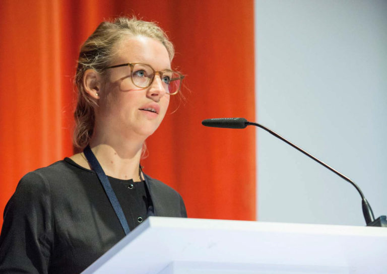 Modernisierung als wichtiger Umweltfaktor