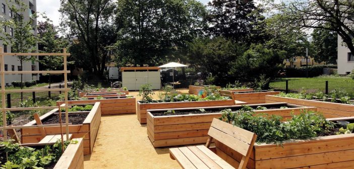 Gemeinschaftsgarten führt Nachbarn zusammen