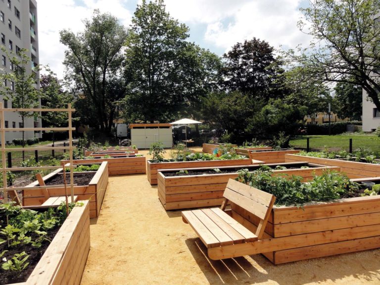 Gemeinschaftsgarten führt Nachbarn zusammen