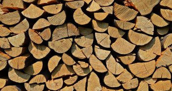 Holzbau-Pilotprojekt des Bundesverbands Deutscher Gartenfreunde gestartet