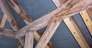 Bauschäden durch Klimawandel nicht abzusehen