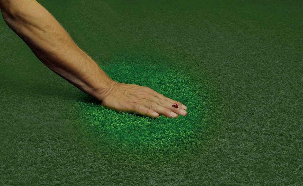 Besser auf dem Teppich bleiben