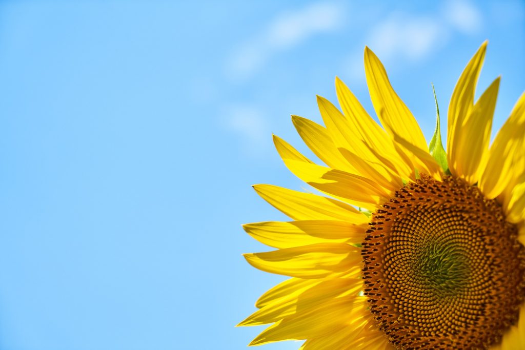 Gebäudeenergiegesetz nimmt letzte Hürde