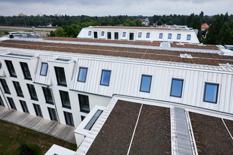 Ein Stück Natur auf dem Dach