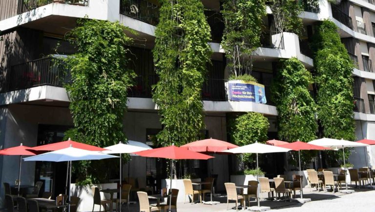 Energieberatung und Gebäudegrün vereint: GIH und BuGG kooperieren