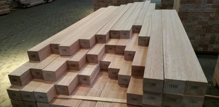 25 Jahre Expertise: Merkblätter „Holzarten im Fensterbau“